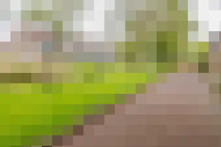 Gerstland 6 Velserbroek thumbnail 7
