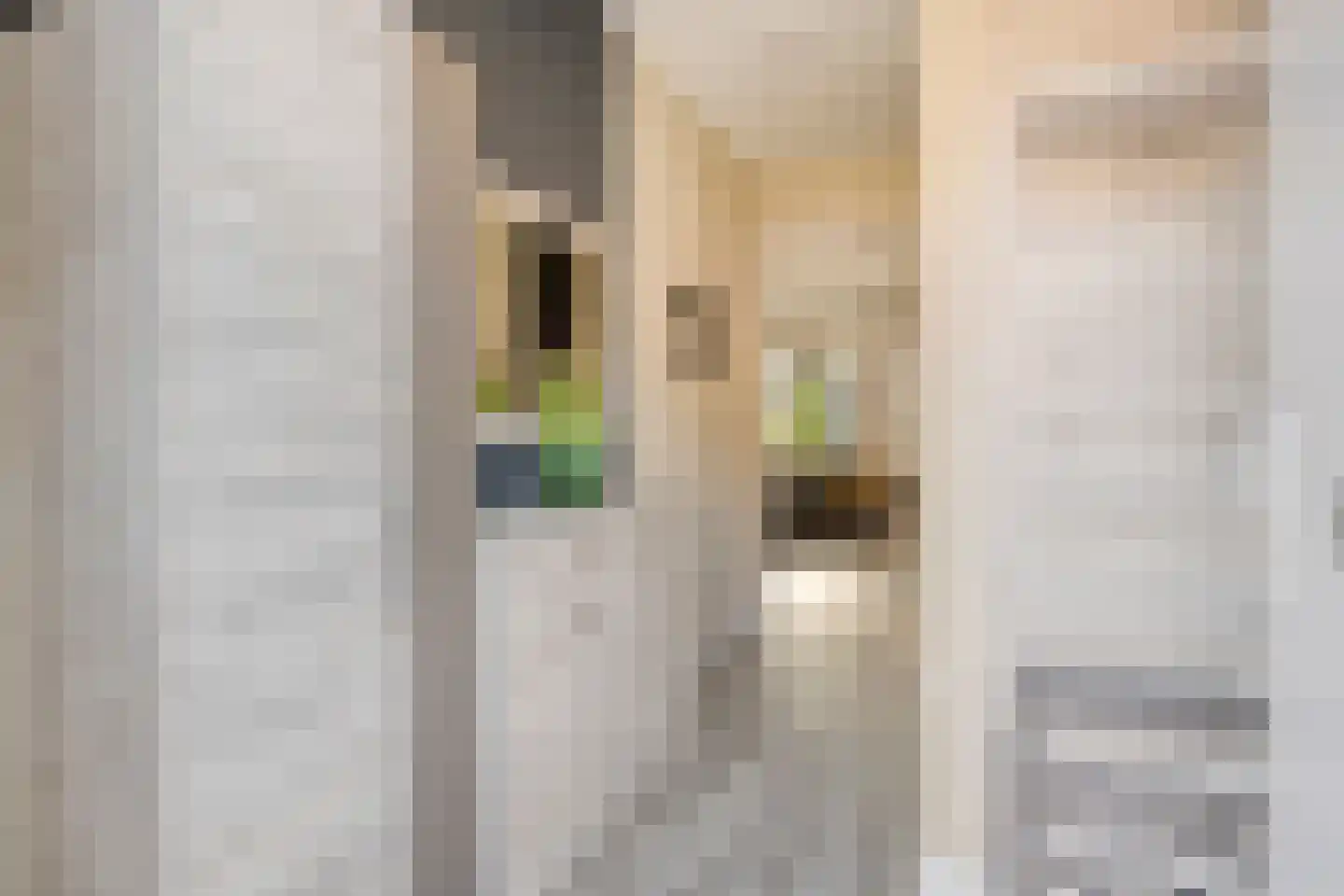 Gerststraat 12 Linne thumbnail 10