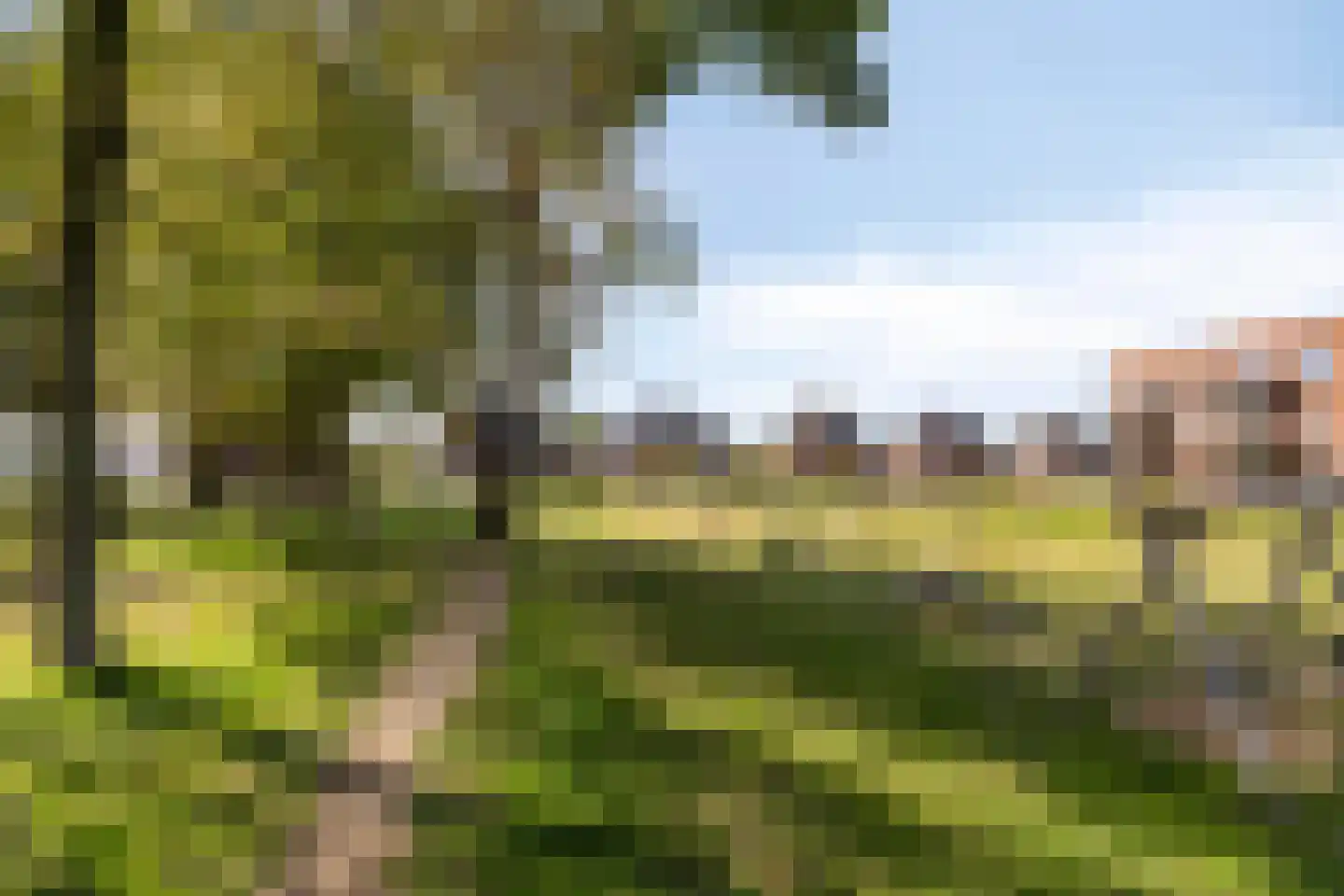 Gerststraat 12 Linne thumbnail 24
