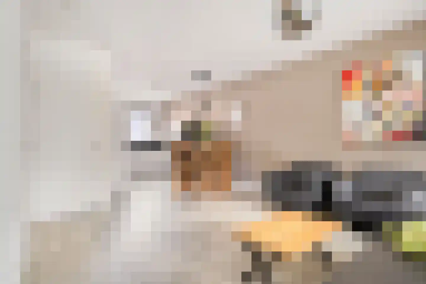 Gerststraat 12 Linne thumbnail 4