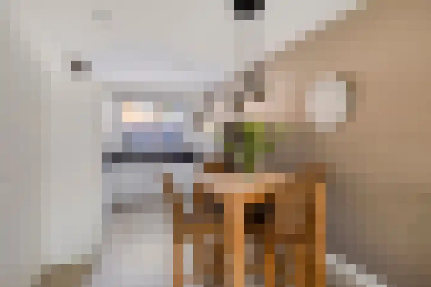 Gerststraat 12 Linne thumbnail 5