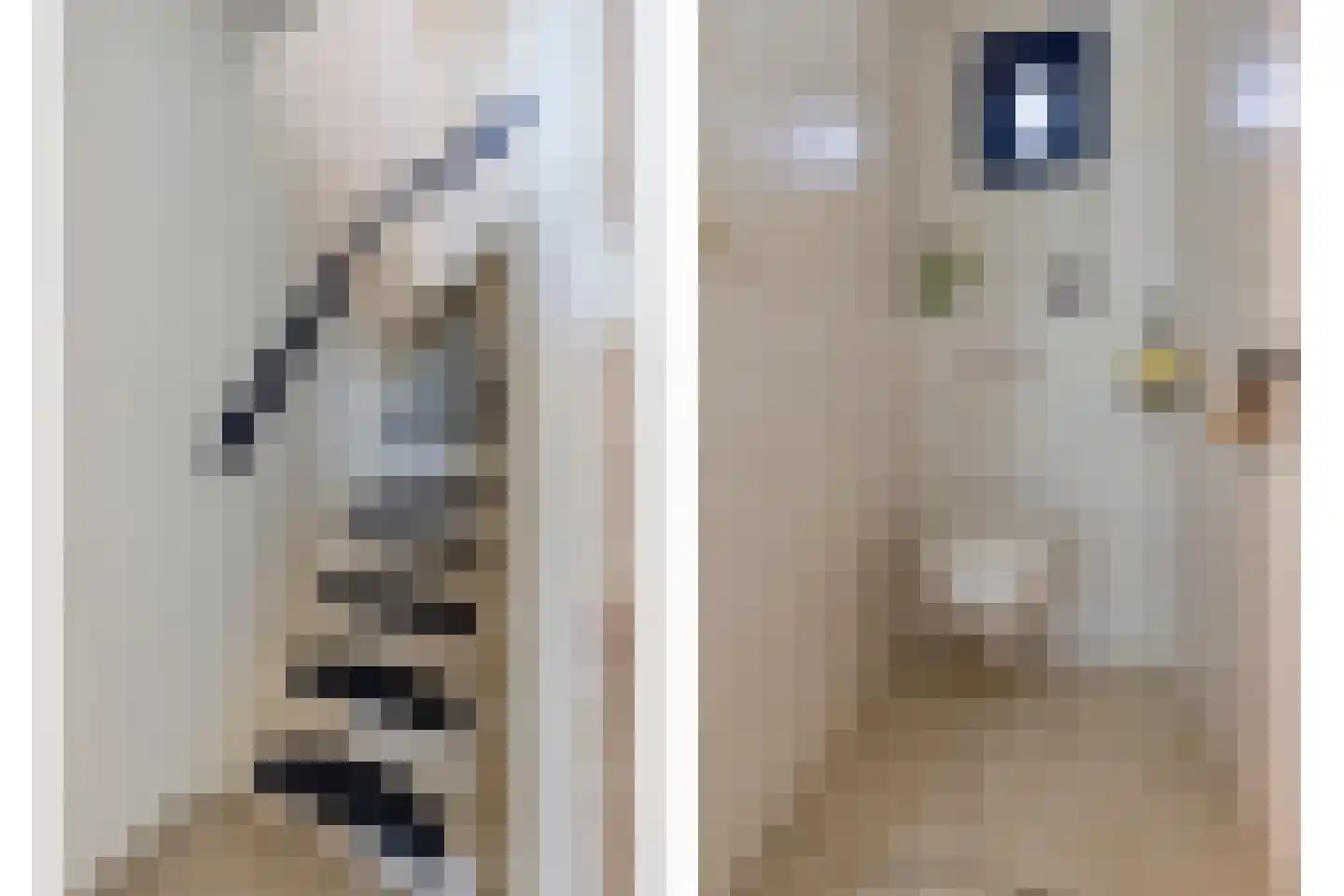 Gerststraat 13 Bergharen thumbnail 12