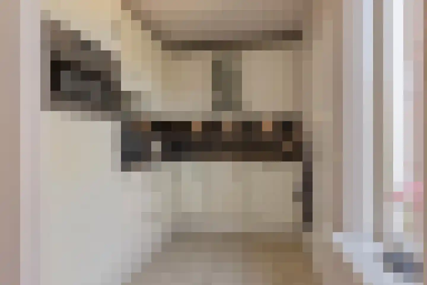 Gerststraat 13 Bergharen thumbnail 9