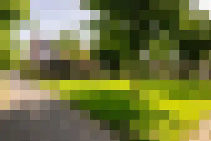 Gerststraat 30 Purmerend thumbnail 49