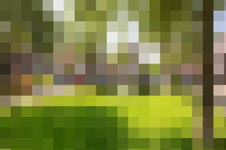 Gerststraat 30 Purmerend thumbnail 51