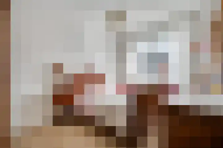 Gerststraat 4 Linne thumbnail 15