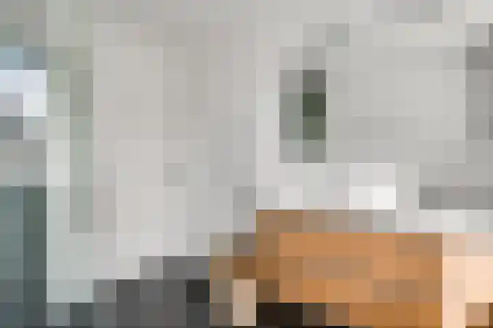 Gerststraat 4 Linne thumbnail 18