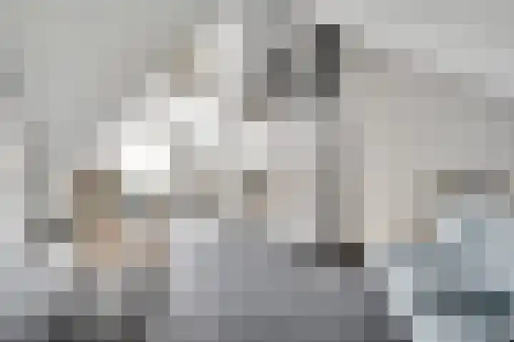 Gerststraat 4 Linne thumbnail 19