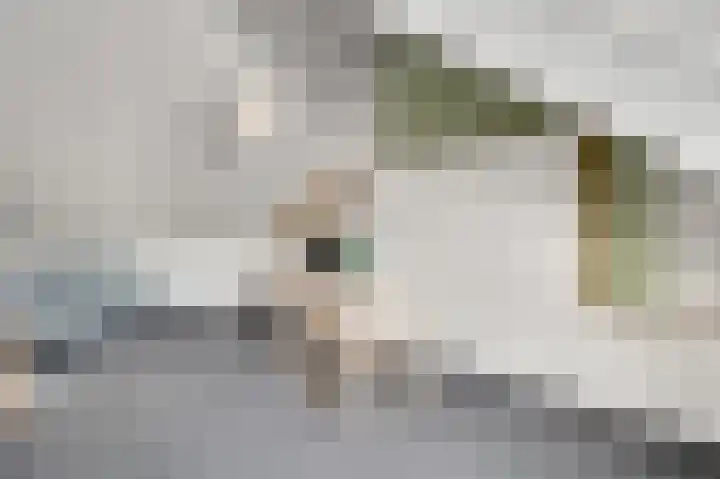 Gerststraat 4 Linne thumbnail 20
