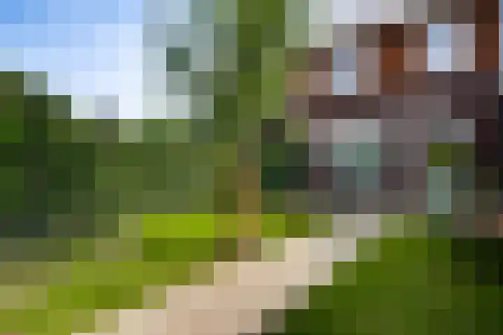 Gerststraat 4 Linne thumbnail 21