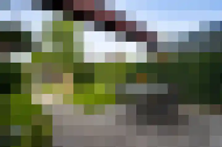 Gerststraat 4 Linne thumbnail 22