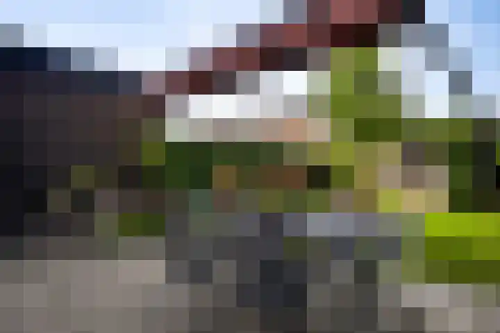 Gerststraat 4 Linne thumbnail 23