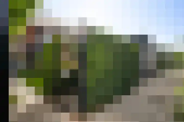 Gerststraat 4 Linne thumbnail 24