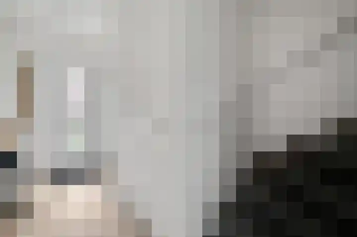 Gerststraat 4 Linne thumbnail 5