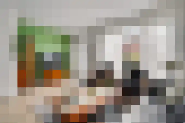 Gerststraat 4 Linne thumbnail 8