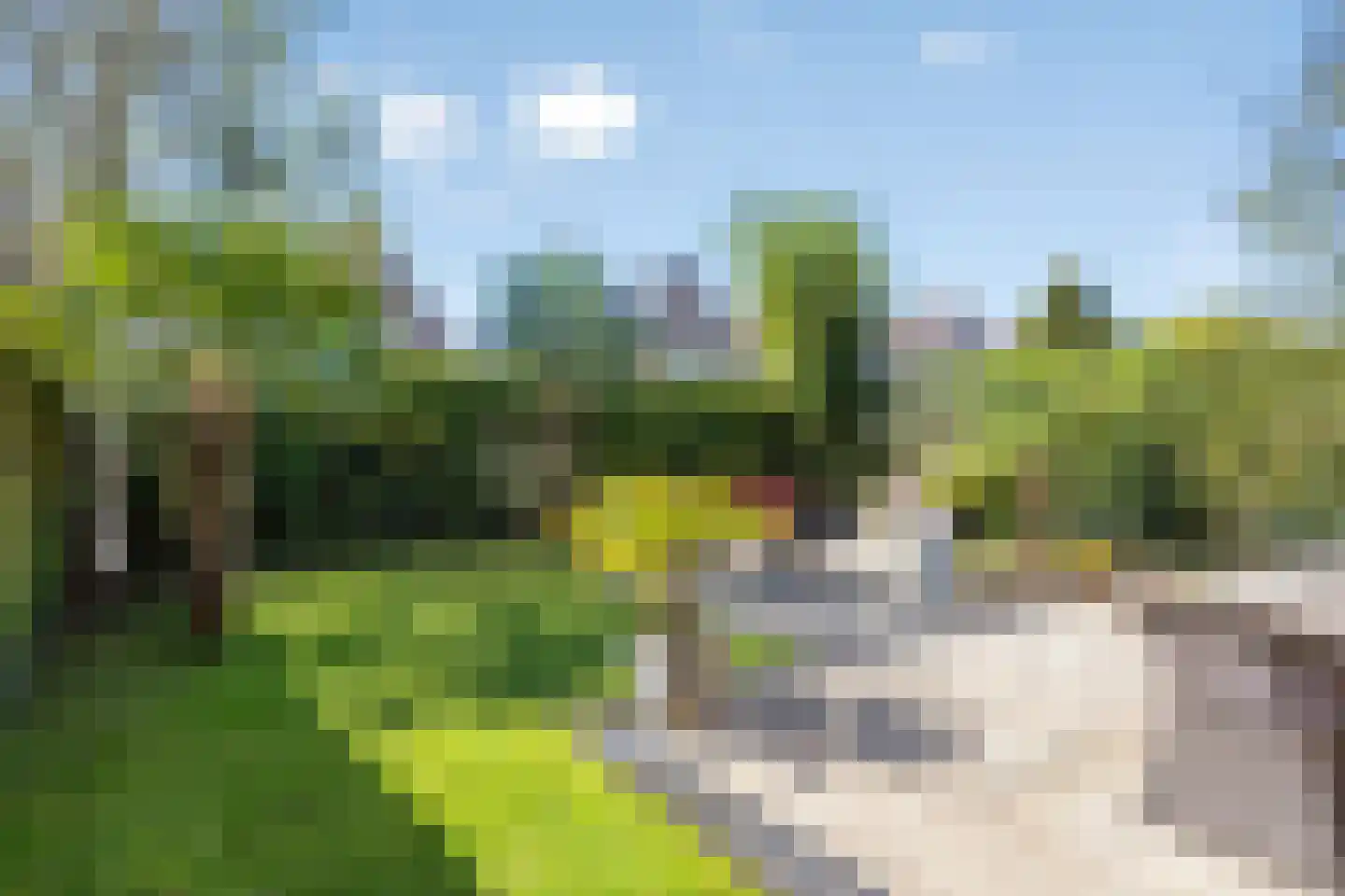 Gerststraat 55 Purmerend thumbnail 36