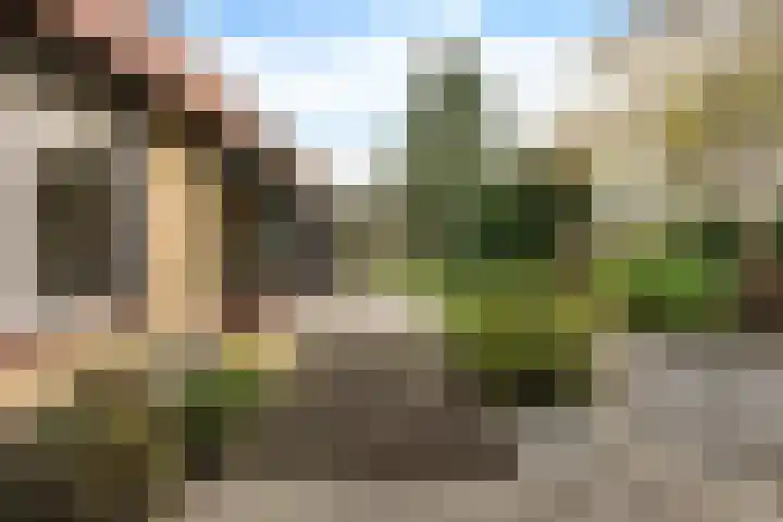 Gerststraat 8 Arnhem thumbnail 40