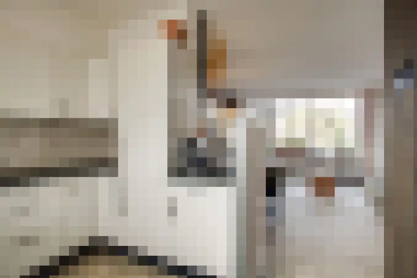 Gerststraat 8 Arnhem thumbnail 59