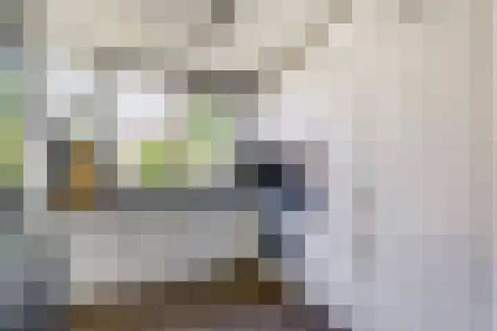 Gerstveld 3 Bergschenhoek thumbnail 12