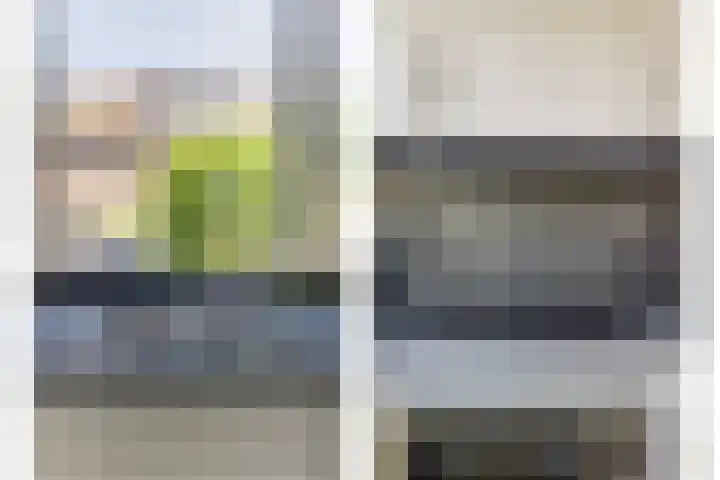 Gerstveld 3 Bergschenhoek thumbnail 13