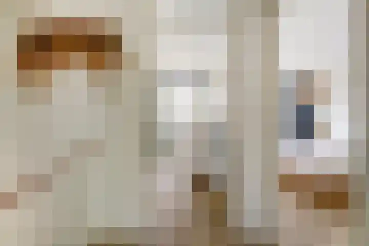Gerstveld 3 Bergschenhoek thumbnail 15