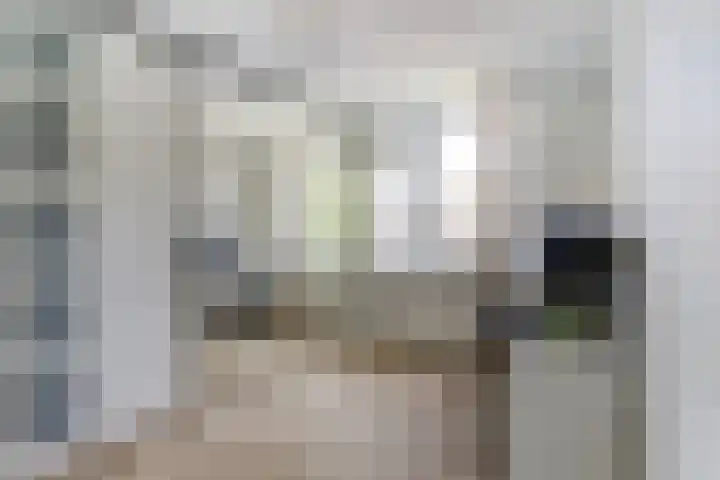 Gerstveld 3 Bergschenhoek thumbnail 19