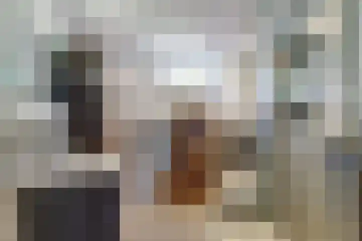Gerstveld 3 Bergschenhoek thumbnail 21