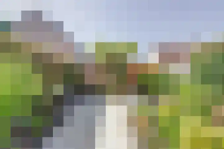 Gerstveld 3 Bergschenhoek thumbnail 29