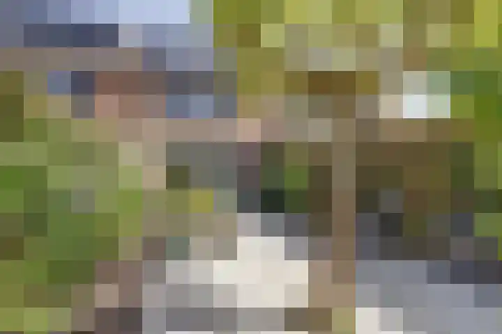Gerstveld 3 Bergschenhoek thumbnail 30