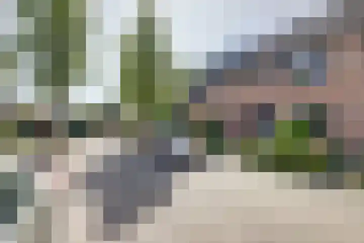 Gerstveld 3 Bergschenhoek thumbnail 32