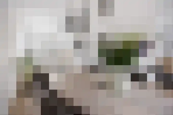 Gerstveld 30 Beneden-Leeuwen thumbnail 13