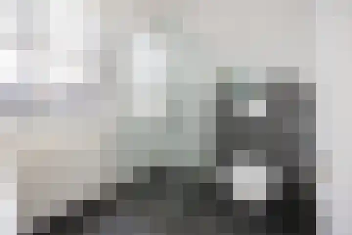 Gerstveld 30 Beneden-Leeuwen thumbnail 21