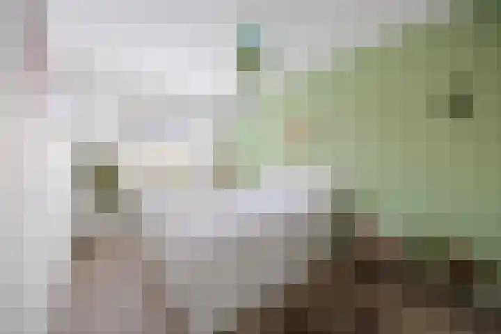 Gerstveld 30 Beneden-Leeuwen thumbnail 23