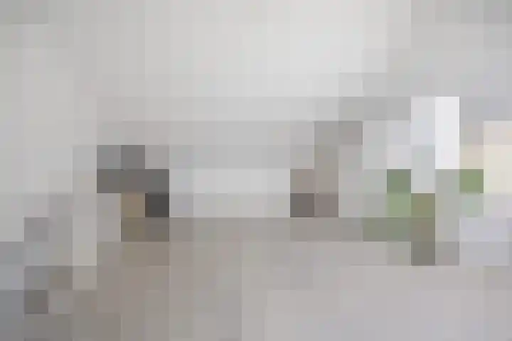 Gerstveld 30 Beneden-Leeuwen thumbnail 33