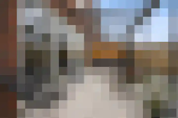 Gerstveld 30 Beneden-Leeuwen thumbnail 36