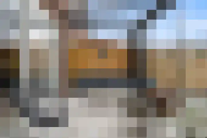 Gerstveld 30 Beneden-Leeuwen thumbnail 37