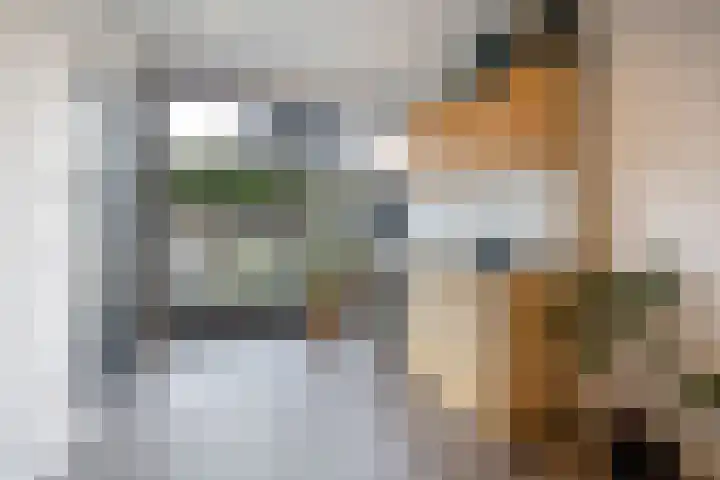 Gerstveld 30 Beneden-Leeuwen thumbnail 41