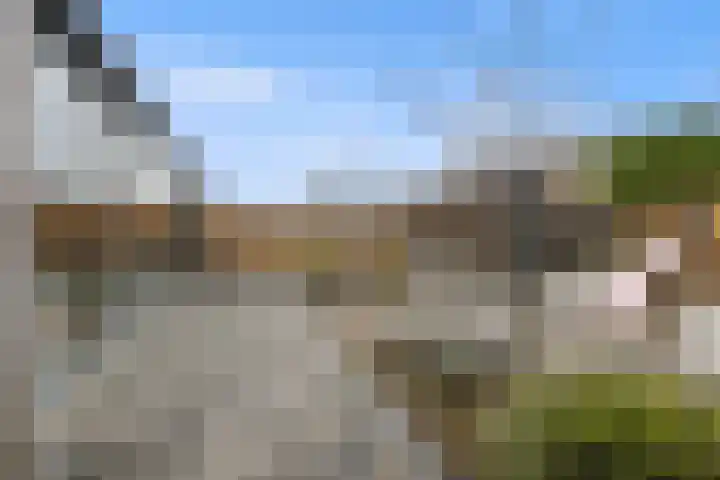 Gerstveld 30 Beneden-Leeuwen thumbnail 42