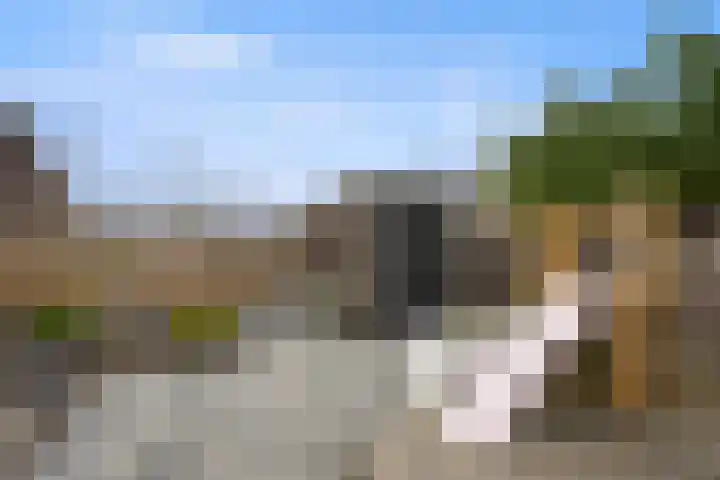 Gerstveld 30 Beneden-Leeuwen thumbnail 43