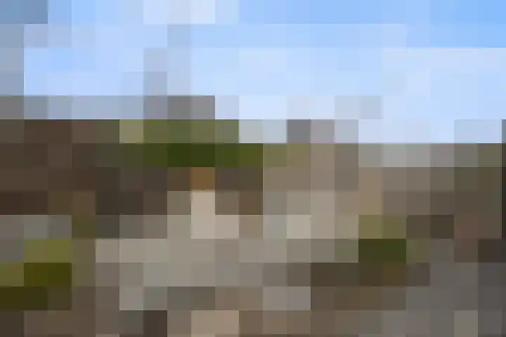 Gerstveld 30 Beneden-Leeuwen thumbnail 44