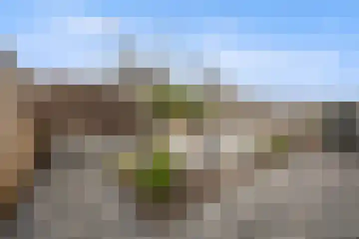 Gerstveld 30 Beneden-Leeuwen thumbnail 45