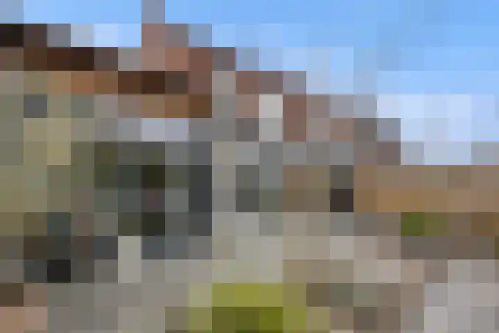 Gerstveld 30 Beneden-Leeuwen thumbnail 48