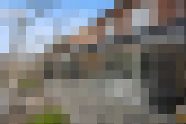 Gerstveld 30 Beneden-Leeuwen thumbnail 49