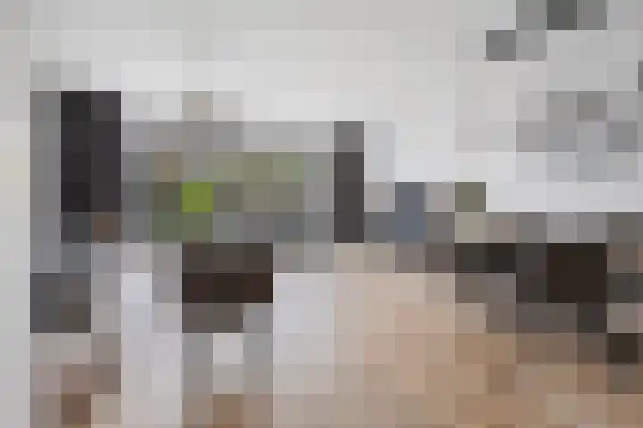 Gerstveld 30 Beneden-Leeuwen thumbnail 5