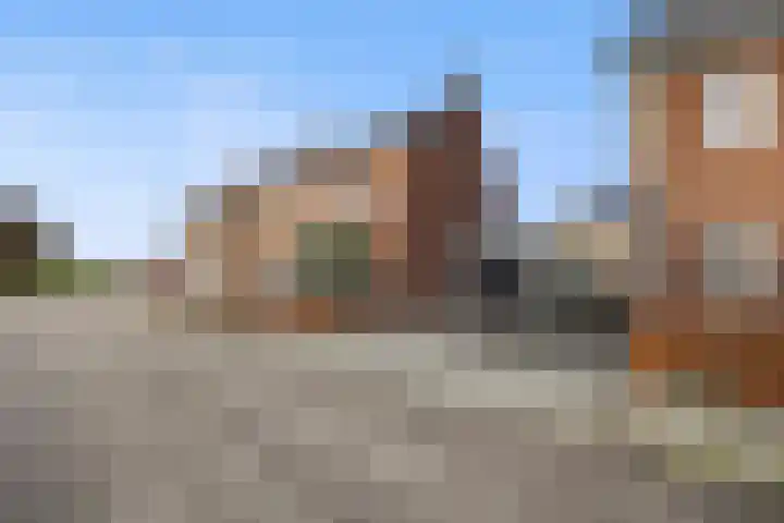 Gerstveld 30 Beneden-Leeuwen thumbnail 50