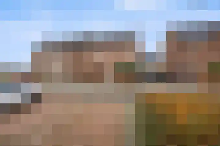 Gerstveld 30 Beneden-Leeuwen thumbnail 52