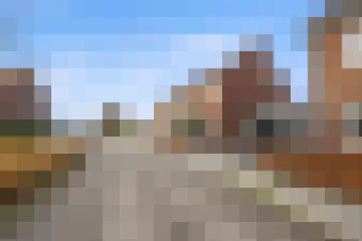 Gerstveld 30 Beneden-Leeuwen thumbnail 53