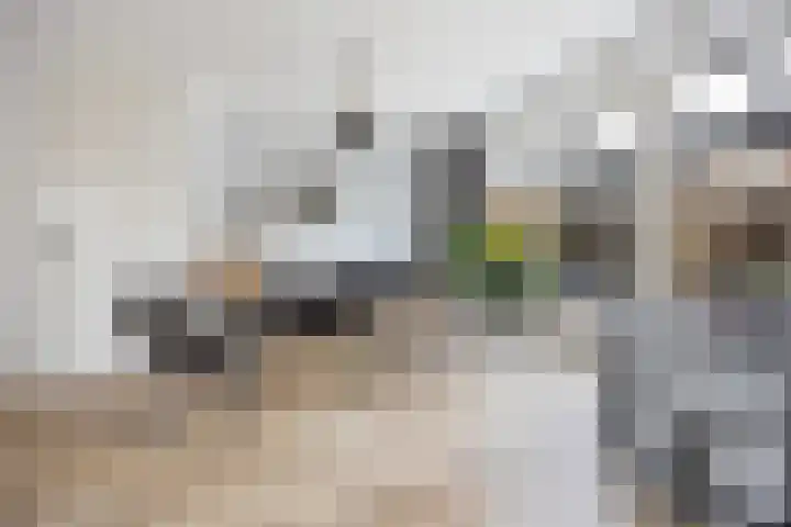 Gerstveld 30 Beneden-Leeuwen thumbnail 7