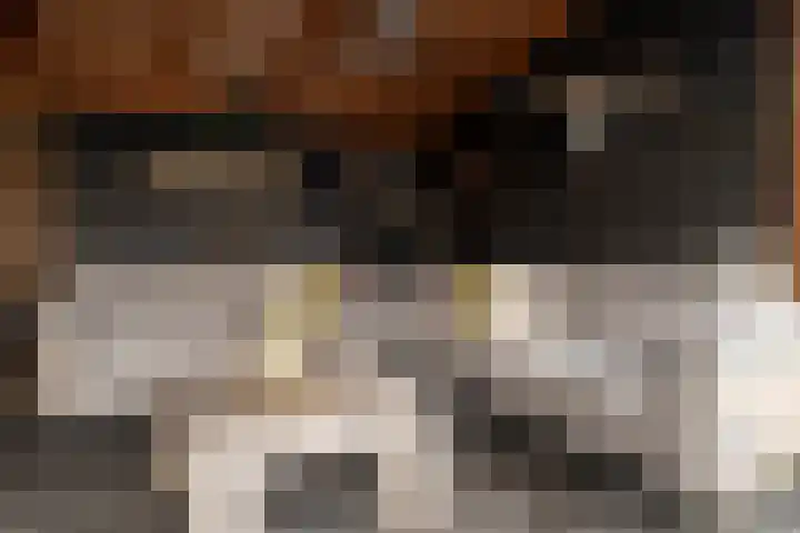Gerstweg 25 Elspeet thumbnail 14