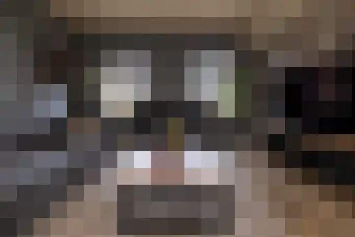Gerstweg 25 Elspeet thumbnail 16